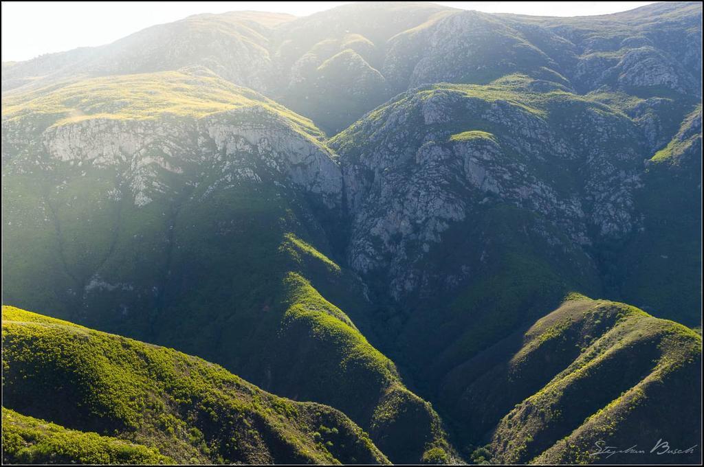 Pat Busch Mountain Reserve Robertson Esterno foto